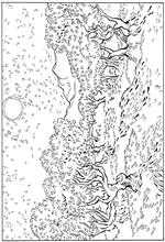 coloring page Vincent van Gogh